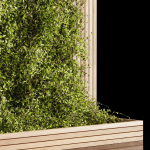 Wooden box ivy plants 01