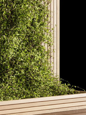 wooden-box-ivy-plants-01-3d-model-6be5800d47