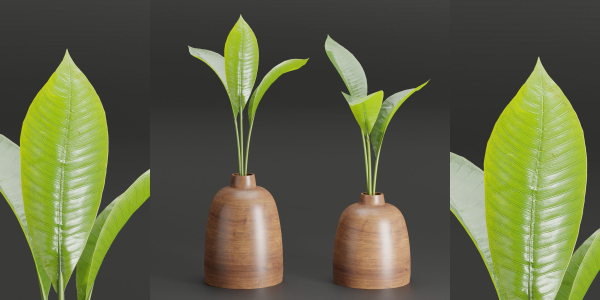 Wooden Vase with plants vol 134-Blender