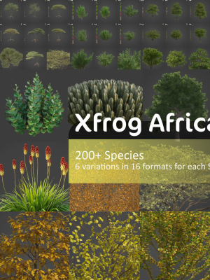Xfrog Africa