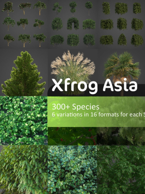 Xfrog Asia