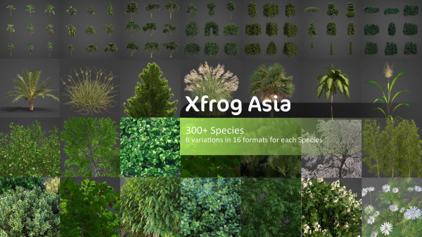Xfrog Asia