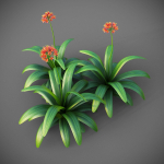 XfrogPlants Bush Lily - Clivia Miniata