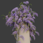 XfrogPlants Chinese Wisteria - Wisteria Sinensis
