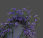 XfrogPlants Chinese Wisteria - Wisteria Sinensis