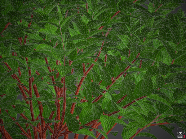 XfrogPlants Common Dogwood - Cornus Sanguinea
