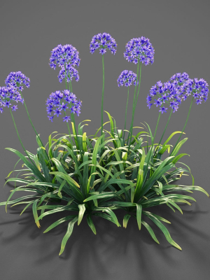 xfrogplants-garden-flowers-pack-1-3d-model-animated-max-obj-fbx-blend-GrowFX