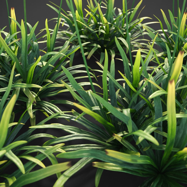 XfrogPlants Garden Flowers Pack 1