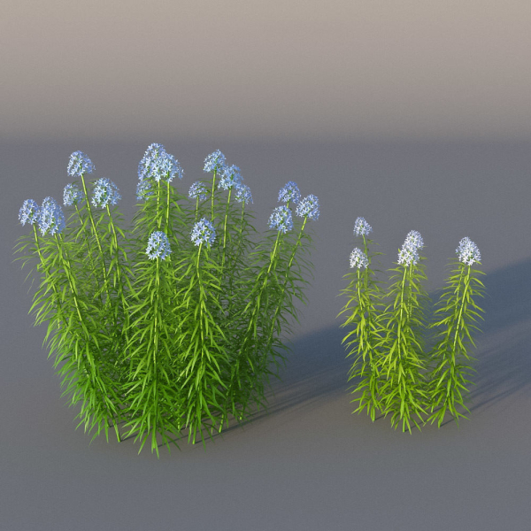 XfrogPlants Garden Flowers Pack 1