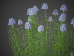 XfrogPlants Garden Flowers Pack 1