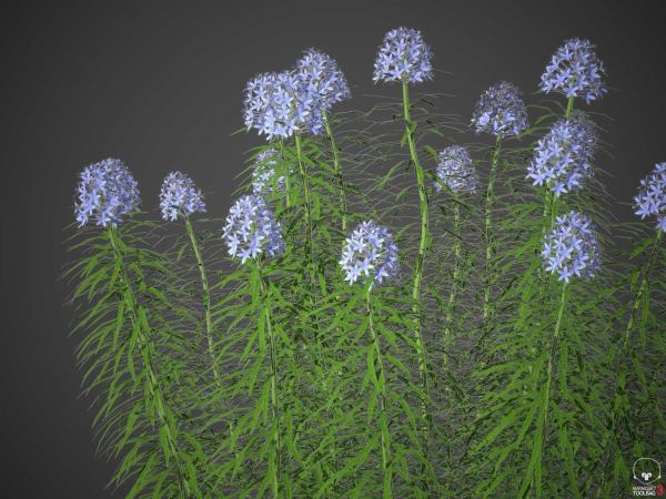 XfrogPlants Garden Flowers Pack 1