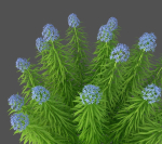 XfrogPlants Garden Flowers Pack 1