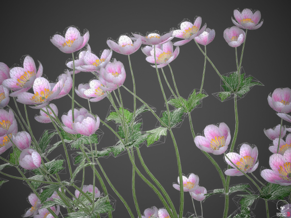 XfrogPlants Garden Flowers Pack 1