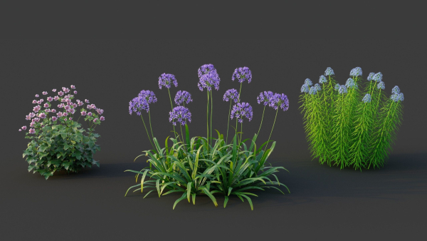 XfrogPlants Garden Flowers Pack 1