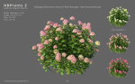 XfrogPlants HDPlants 2