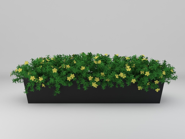 Yellow Flowering Plant 3d Model