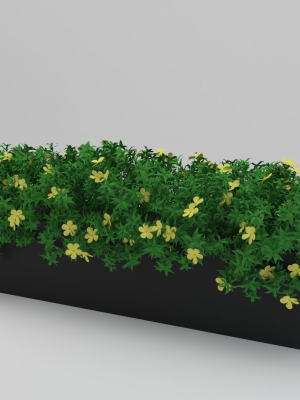 yellow-flowering-plant-3d-model-3d-model-a67c4200c7