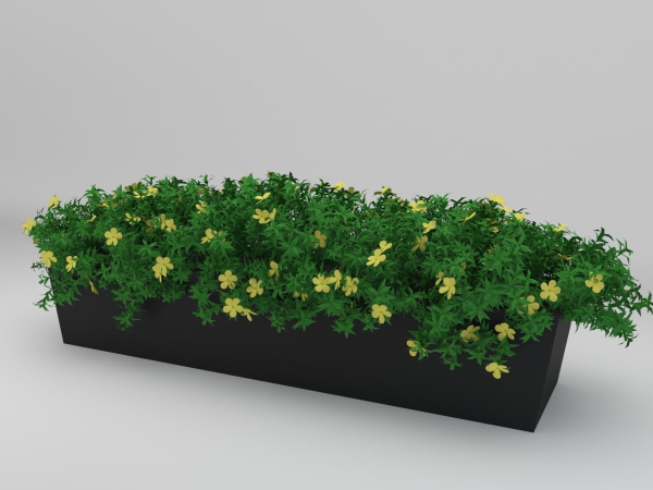 Yellow Flowering Plant 3d Model
