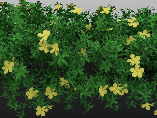 Yellow Flowering Plant 3d Model