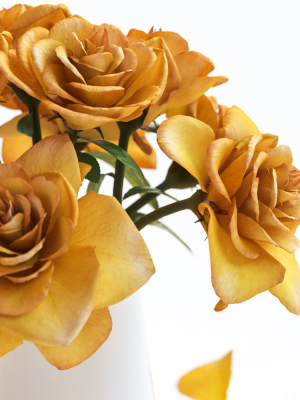 yellow-flowers-in-ceramic-pot-3d-model-max-fbx-c4d