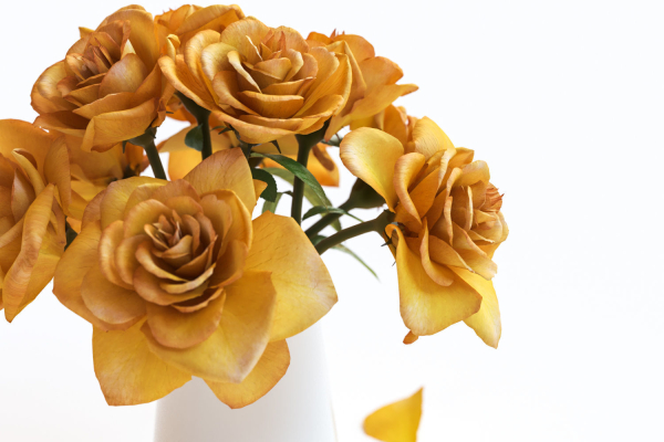 Yellow flowers in ceramic pot