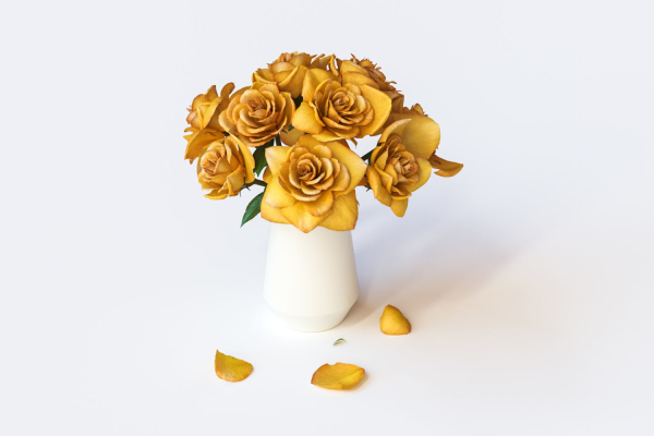Yellow flowers in ceramic pot