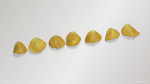 Yellow Rose Petals