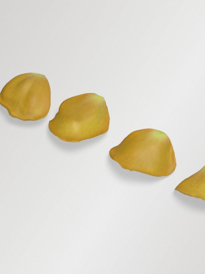 yellow-rose-petals-3d-model-89cef55286