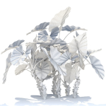 Zagg Alocasia macrorrhiza
