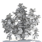Zagg Ficus Lyrata