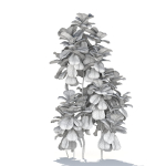 Zagg Ficus Lyrata